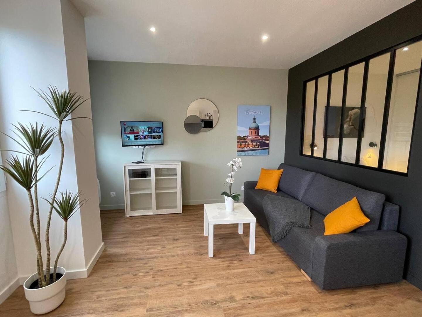 Climatisation, Ascenseur R5 Sublime T2 Tout Neuf Toulouse Exterior foto